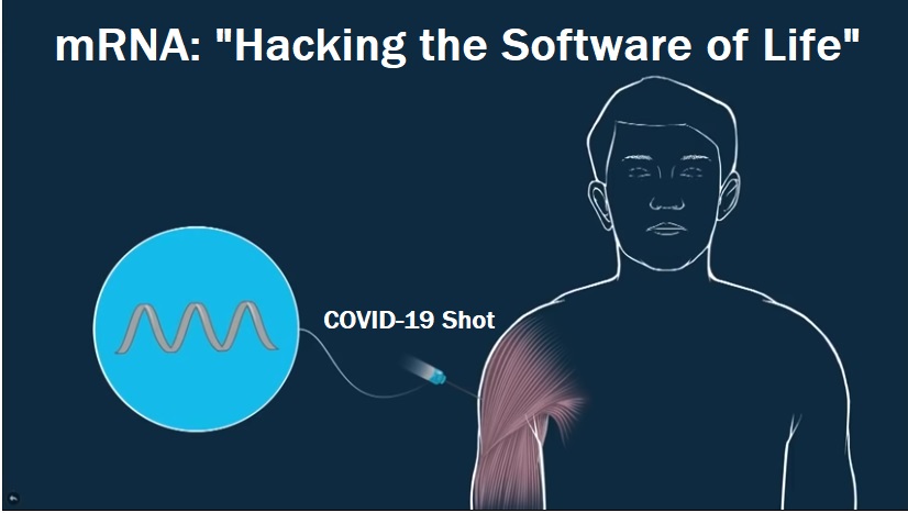 moderna’s top scientist on mrna technology in covid shots 'we are actually hacking the software of life'