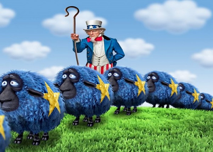 vs-eu-schapen