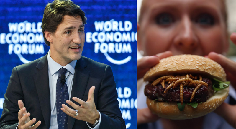 trudeau-davos-wef-insects