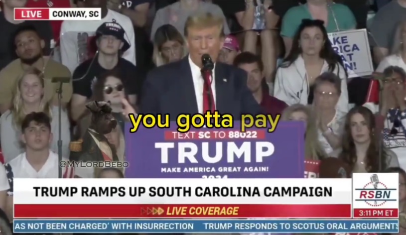 trump pay