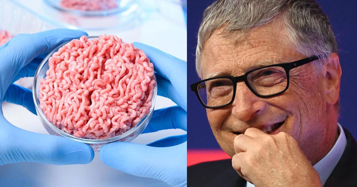 bill-gates-lab-grown-meat-climate-beef