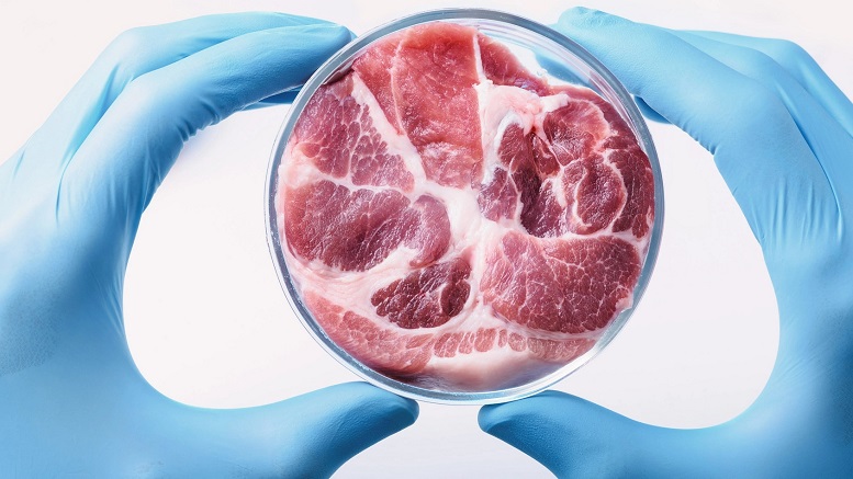 lab-grown-meat-large